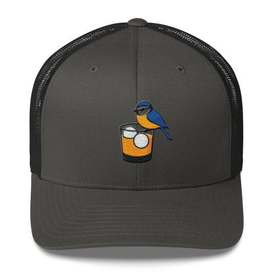 Birdie Juice Golf Hat – Trucker Cap for Golfers (Silver/Charcoal/Green)